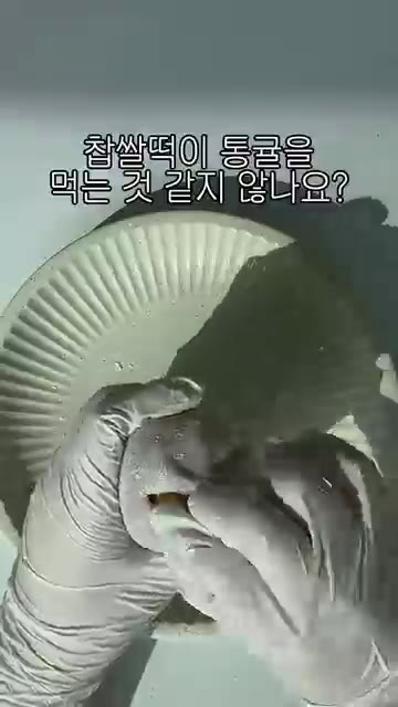 떡을 오므려 과일을 감싸고 모양을 잡아 완성한다. — 10초 만에 만드는 과일 찹쌀떡 레시피