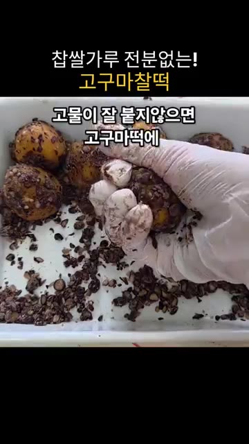 반죽을 테프론 시트나 비닐에 기름을 바르고 반죽을 덜어 5분 정도… — 찹쌀가루 없이 만드는 쫀득말랑 고구마찰떡