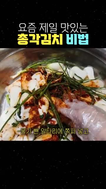 물기 뺀 알타리에 쪽파를 넣고 양념을 조금씩 넣어 버무려요. — 요즘 제일 맛있는 총각김치 비법