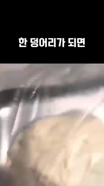 한 덩어리가 되면 상온에서 30분 숙성합니다. — 수제비 반죽할 때 밀가루만 넣으면 쫄깃한 맛이 안 나요