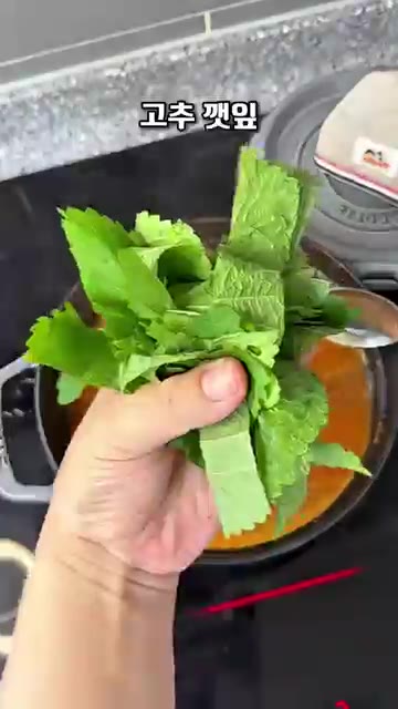 팽이버섯, 고추, 깻잎, 대파를 넣고 들깨가루 2스푼을 넣어 한소끔… — 초간단 순살 감자탕 레시피: 대패 삼겹살로 더 맛있게 끓이는 꿀팁