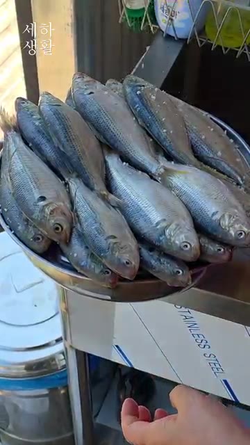 전어에 굵은 소금을 뿌려 밑간을 합니다. — 가을 전어구이, 숯불에 구웠더니 엄지가 절로 올라가네요