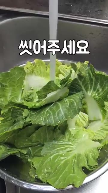 볼에 썰어둔 봄동을 담고 고춧가루 4큰술, 진간장 3큰술, 참기름… — 봄동 비빔밥 레시피