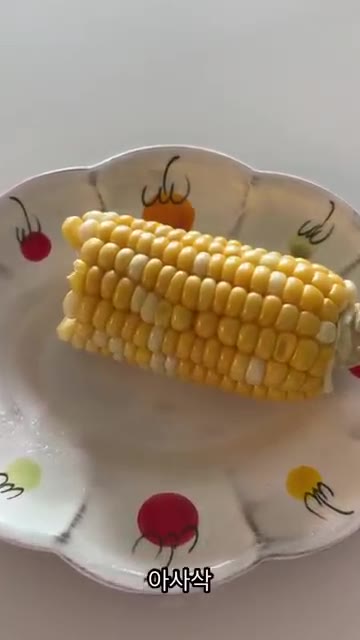 잘 익은 초당옥수수를 접시에 담아 맛있게 먹는다. — 초당옥수수 챱챱