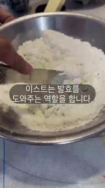 좋은 빵을 만들기 위해 이스트의 양보다 발효 상태를 보고 판단해야… — 빵반죽에서 이스트를 많이 넣으면 더 잘 부풀까?