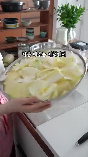 무를 썰어 소금에 절이는 동안, 배추는 한입 크기로 썰어 물기를 제… — 톡 쏘는 사이다맛 백물김치 레시피