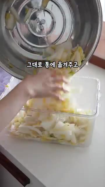 믹서기에 양파, 사과, 마늘, 찬밥, 물 500ml를 넣고 곱게 갈… — 톡 쏘는 사이다맛 백물김치 레시피