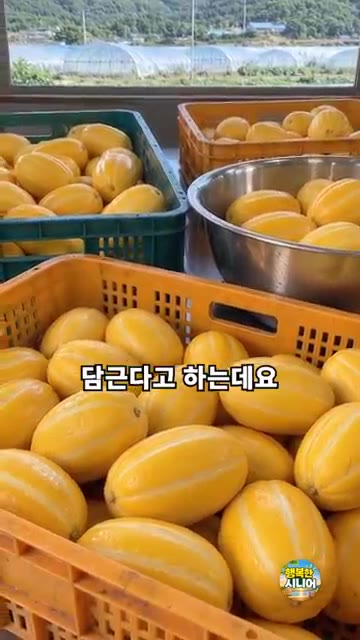 썰어둔 참외에 굵은소금을 뿌려 몇 시간 동안 절여줍니다. — 오래 아삭한 참외장아찌 담그는 법