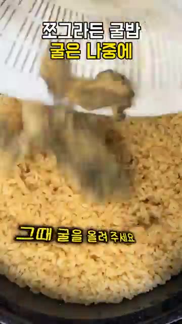 밥이 다 되면 익혀둔 굴을 밥 위에 올려주세요. — 굴밥 굴이 쪼그라드는 이유, 2분만 끓여 건져 두고 밥이 다 되면 올려 뜸 들이세요