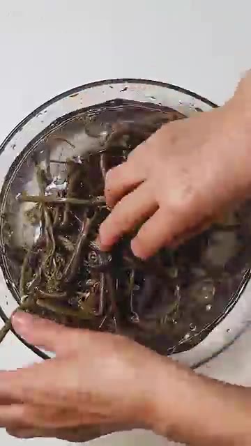 고사리 250g은 충분히 물에 불린 뒤 질긴 끝부분만 제거하고, 시… — 냄비 하나로 끝나는 삼색나물! 차례상 이렇게 차리세요!
