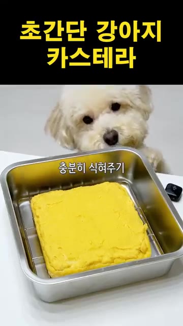 구워진 카스테라를 충분히 식혀줍니다. — 초간단 강아지 카스테라 만들기