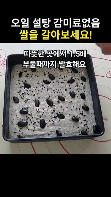 삶은 검은콩과 검은깨를 위에 올리고 따뜻한 곳에서 1.5배 부풀 때… — 쌀로 만든 파로쌀빵 레시피 (오일, 설탕, 감미료 없이)