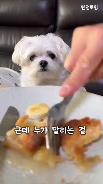 먹기 좋게 잘라 바나나와 함께 곁들여 먹는다. — 미국인들이 파이를 먹는 놀라운 방법