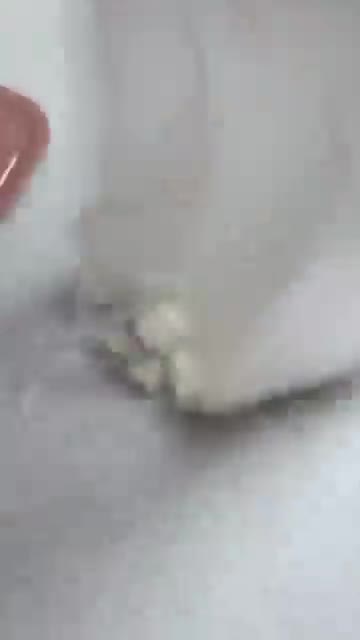 팬에 식용유를 두르고 두부를 노릇하게 구워준다. — 간단 두부덮밥 만들기