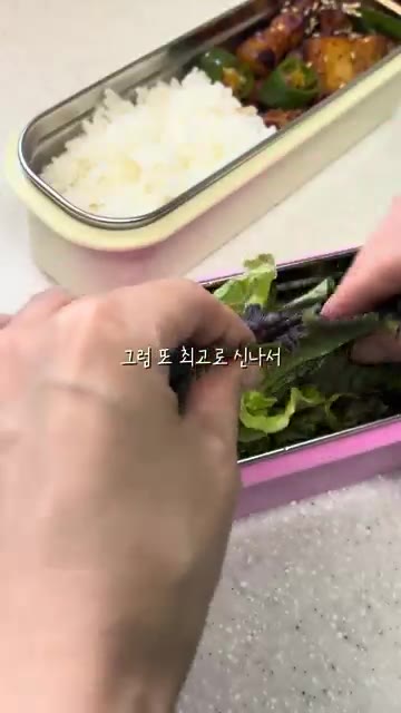 상추를 씻어 다른 칸에 보기 좋게 담는다. — 프리랜서 떠시락🍡