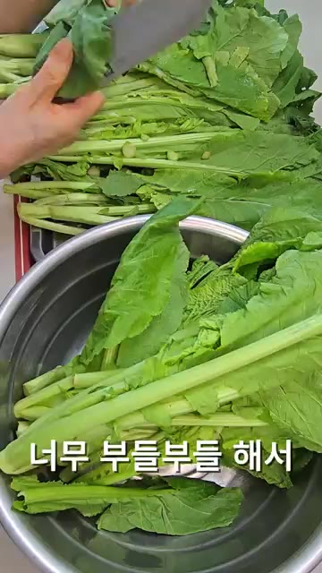 여수돌산갓은 3~4회 깨끗이 씻어 물기를 빼줍니다. 너무 부드러워… — 알싸매콤 톡쏘는 여수돌산갓김치!