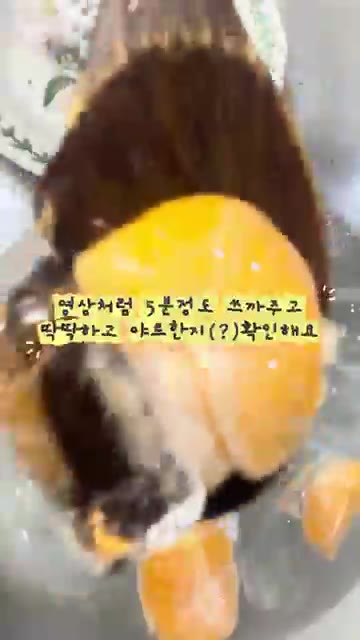 물에 귤을 넣고 5분 정도 섞어줍니다. — 귤 얼음 탕후루 만들기