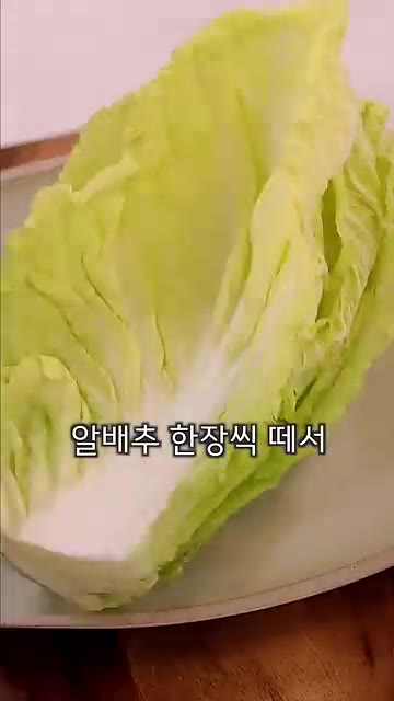 알배추 한 장을 떼어 전자레인지에 4분 돌려줍니다. — 살 빠지는 초간단 전골 육수 소스 요리 레시피