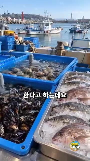 물속에서 홍합 껍데기끼리 문질러 씻고 여러 번 헹궈줍니다. — 홍합 대충 헹궈 끓이지 마세요! 맑고 시원한 홍합탕 끓이는 법