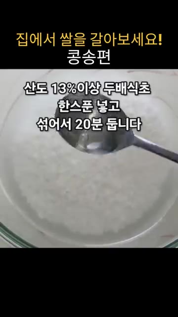 불린 쌀과 찹쌀에 두배식초를 넣고 20분간 불립니다. — 집에서 쌀을 갈아서 만드는 말랑쫀득 콩송편 레시피