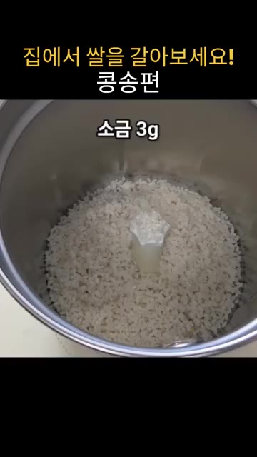체에 밭쳐 물기를 뺀 쌀을 믹서기에 넣습니다. — 집에서 쌀을 갈아서 만드는 말랑쫀득 콩송편 레시피