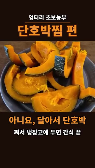 껍질째 쪄서 냉장고에 보관하면 맛있는 간식이 됩니다. — 만차랑 단호박, 절대 씨 받아 심지 마세요