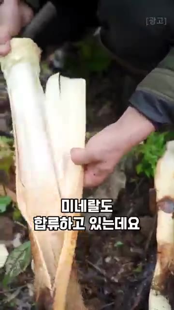 채 썬 나무 채소를 넣고 파스타 면처럼 볶아줍니다. — 당뇨 식단에 활용하는 이 채소, 파스타 면 대신 먹는다고?