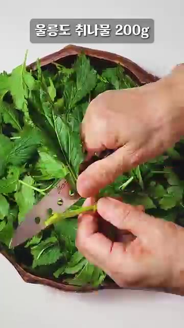 울릉도 취나물 200g은 억센 줄기를 제거하고 잎과 연한 줄기만 사… — 울릉도 취나물 무침 레시피