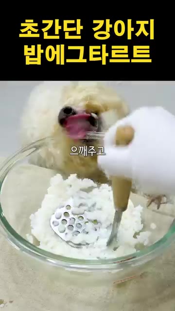밥 한 주걱을 그릇에 담고 으깨줍니다. — 강아지 밥에그타르트 제조법 | 초간단 강아지 간식 만들기