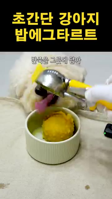 고구마를 넣고 으깬 밥과 함께 잘 섞어줍니다. — 강아지 밥에그타르트 제조법 | 초간단 강아지 간식 만들기