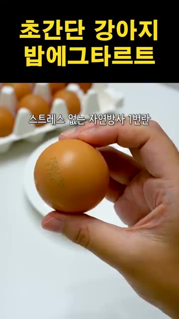 반죽을 그릇에 담아 숟가락으로 가운데를 파줍니다. — 강아지 밥에그타르트 제조법 | 초간단 강아지 간식 만들기