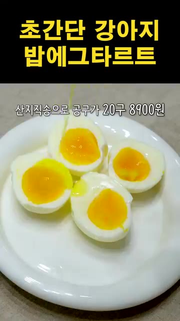 강아지에게 먹기 좋은 크기로 잘라줍니다. — 강아지 밥에그타르트 제조법 | 초간단 강아지 간식 만들기