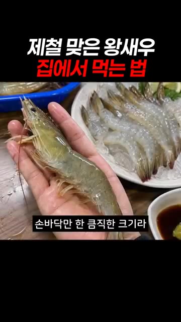 얼음 가득 채워 신선하게 집 앞까지 배송된 새우는 비린내 없이 씹을… — 제철 맞은 왕새우 집에서 푸짐하게 즐기는 법