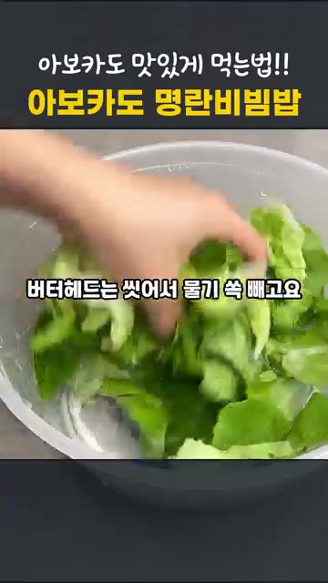 샐러드 채소를 씻어 물기를 제거한다. — 아보카도 맛있게 먹는법 | 아보카도 명란비빔밥