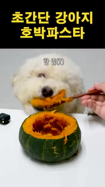 파낸 단호박을 으깬 후 락토프리 우유 또는 펫밀크와 아기치즈를 넣고… — 초간단 강아지 호박파스타 제조법