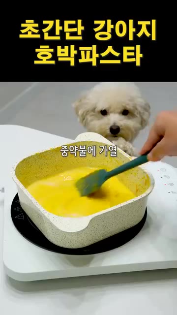 중약불에서 약 10~15분간 저어가며 꾸덕해질 때까지 가열한다. — 초간단 강아지 호박파스타 제조법