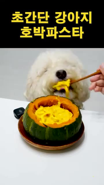 잘 식힌 후 파낸 단호박에 완성된 파스타를 담아준다. — 초간단 강아지 호박파스타 제조법