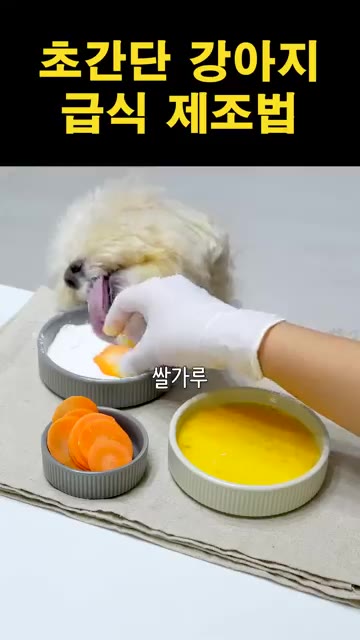 샐러드 채소를 준비하여 그릇에 담아준다. — 초간단 강아지 급식 제조법