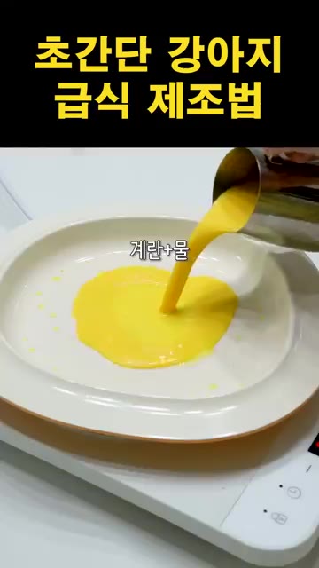 당근을 얇게 썰어 계란물에 묻혀준다. — 초간단 강아지 급식 제조법