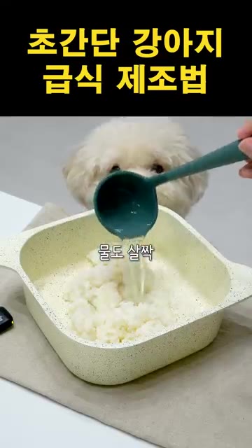 팬에 계란물을 붓고 계란말이를 만들어준다. — 초간단 강아지 급식 제조법