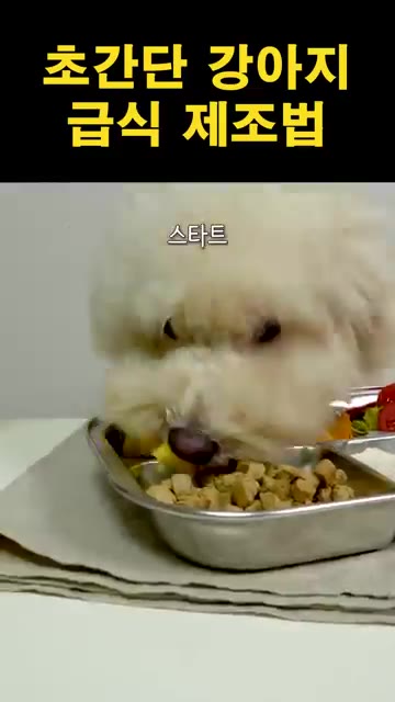 닭가슴살을 식판에 추가로 담아준다. — 초간단 강아지 급식 제조법