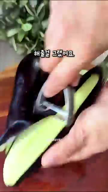 가지 3개를 준비합니다. — 가지 싫어하는 사람도 순식간에 해치우는 에어프라이어 가지스틱 튀김