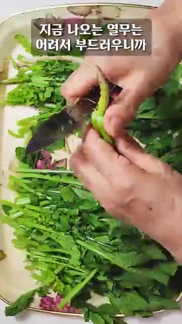 열무 430g은 뿌리만 잘라내고 깨끗이 씻어 양푼에 담아주세요. 지… — 열무는 절대로 소금으로 절이지 마세요!