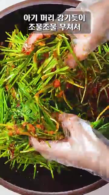 썰어둔 부추와 갈아둔 양념을 모두 넣고 아기 머리 감기듯 살살 무쳐… — 열무는 절대로 소금으로 절이지 마세요!