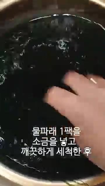 물파래 1팩을 소금을 넣고 깨끗하게 세척한다. — 물파래무침 레시피 (Winter Sea Grape Salad Recipe)