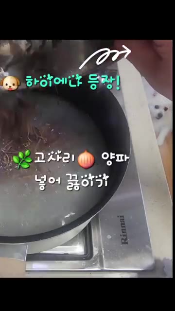 닭 육수에 고사리와 양파를 넣고 끓인다. — 닭한마리로 얼큰한 닭개장 만들기