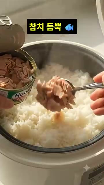 밥솥에 따뜻한 밥을 준비합니다. 밥 위에 참치 한 캔을 듬뿍 올립니다. — 초간단 밥솥 참치 계란밥 레시피